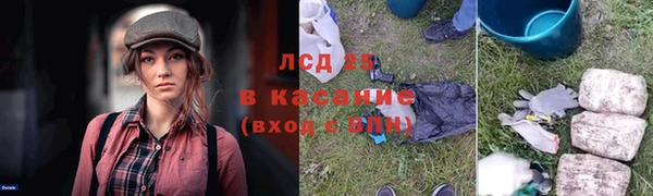 гашик Армянск