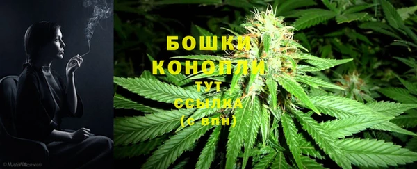 МДПВ Михайловск